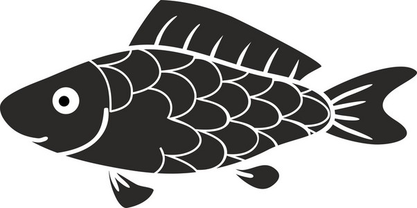 鱼的侧面影像图片