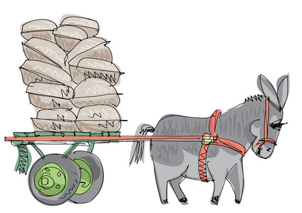 印度的骡子驴动物-卡通照片