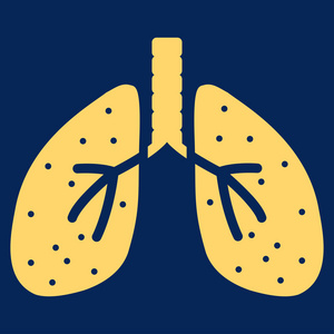 肺平图标