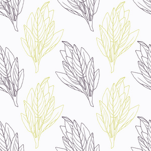 手工绘制的鼠尾草枝条,花程式化的黑色和绿色的海洋照片