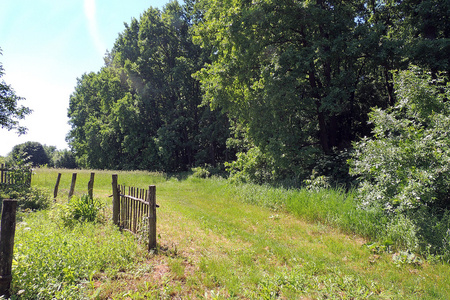 郊区的村庄图片