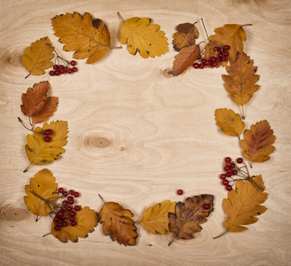 帧从秋天叶收集和浆果在木制背景上