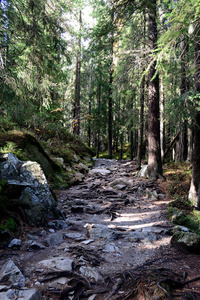 山区旅游路线