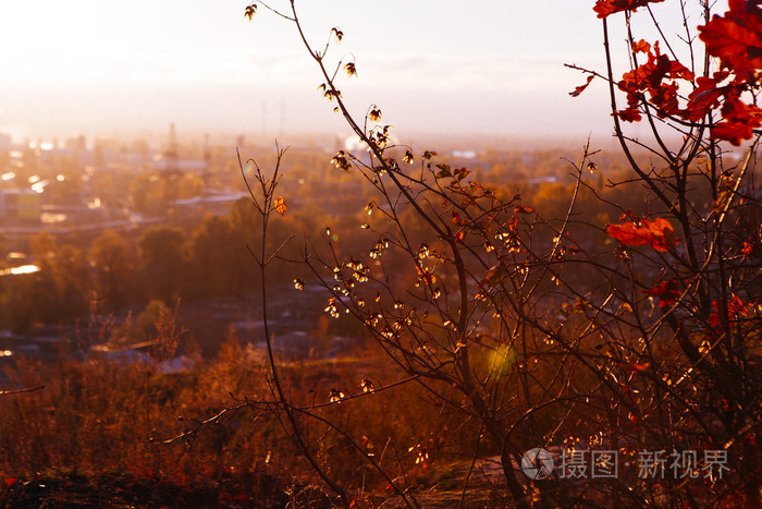 黄色秋天在基辅, 基辅工业看法在秋天日落