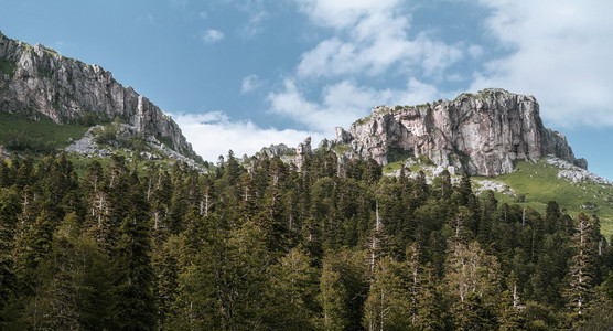 森林与高高加索莫山秋天风景