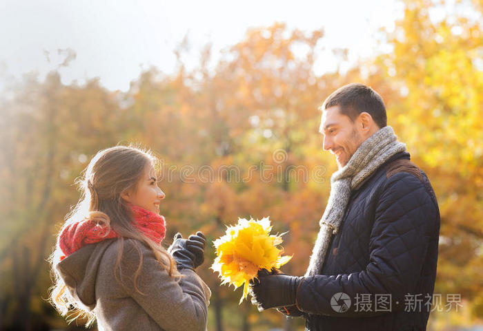 秋天公园里一对微笑的树叶夫妇
