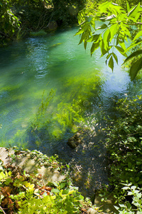 意大利的里雅斯特timavo river springs