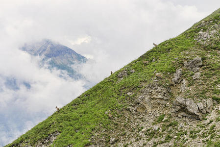 阿尔卑斯山山坡上的三座山