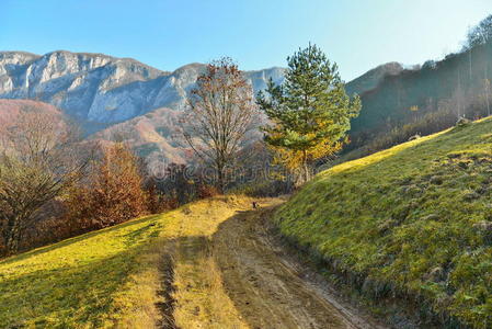 秋林山路