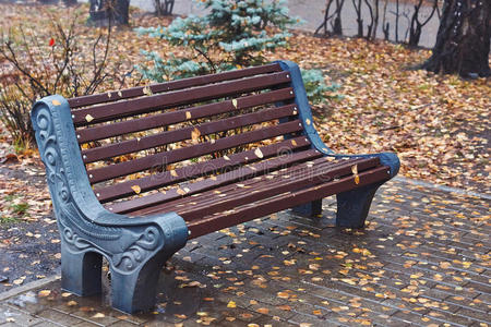 秋天公园的湿板凳。