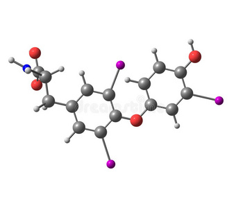 三碘甲腺原氨酸分子的分离