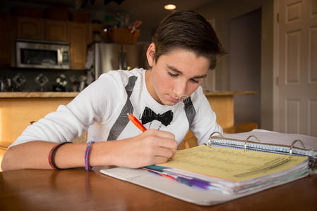 男青少年在厨房做作业