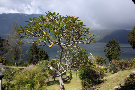 布拉坦湖巴厘岛