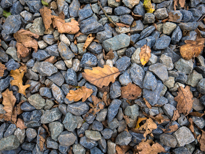 秋天的叶子和石头