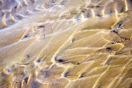 摩洛哥沙丘棕色湿沙海滩大西洋图片