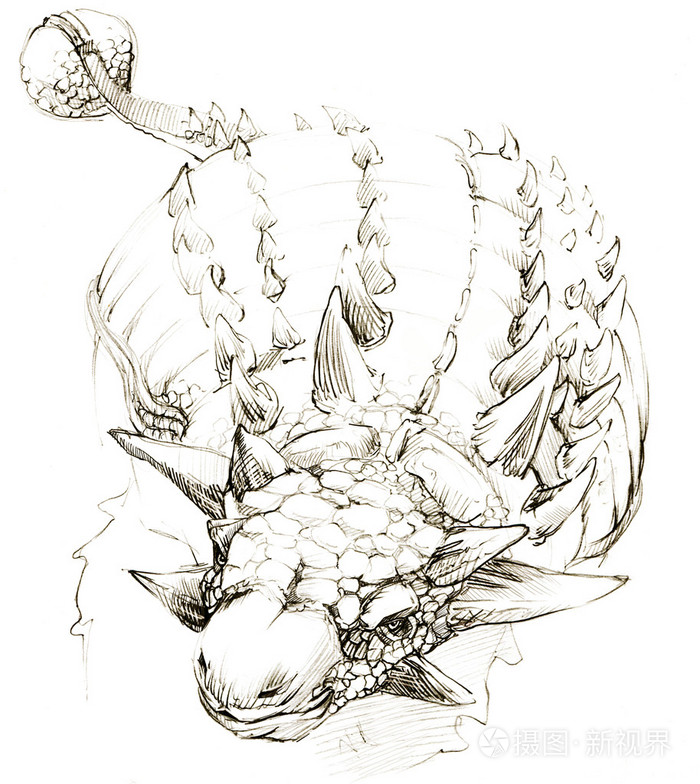 恐龙.恐龙绘图铅笔素描