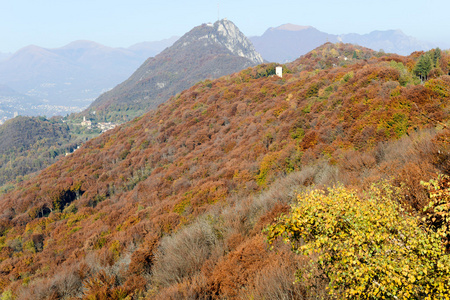 秋季景观的 Lugano 附近的一个树林