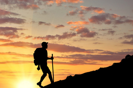 在背景中红松鼠或欧亚红松鼠,vulgaris,重阳登高比赛通过夏季绿树远眺