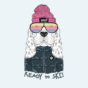 滑雪者风格的狗可卡犬照片