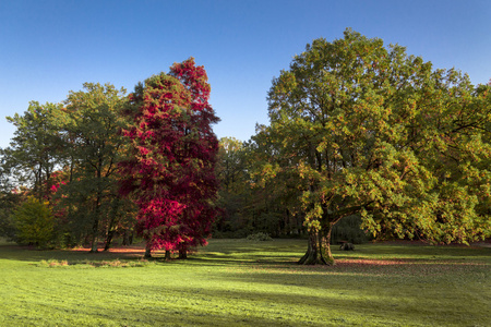 在公园 Maksimir 在萨格勒布的秋天