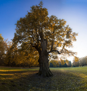 在公园 Maksimir 在萨格勒布的秋天