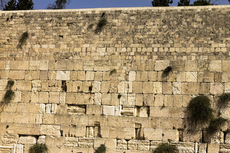 在耶路撒冷的西墙