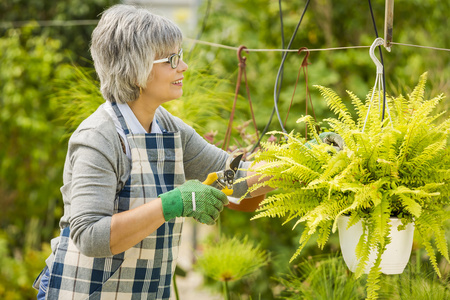 女人照顾植物