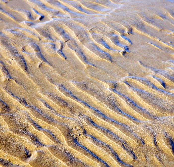 在非洲棕色海岸线湿沙滩附近奥特蓝沙丘摩洛哥