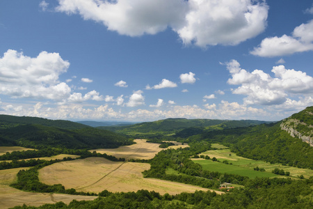 夏天农村风景