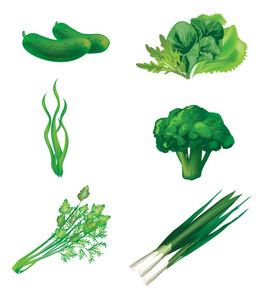 绿色的蔬菜一套