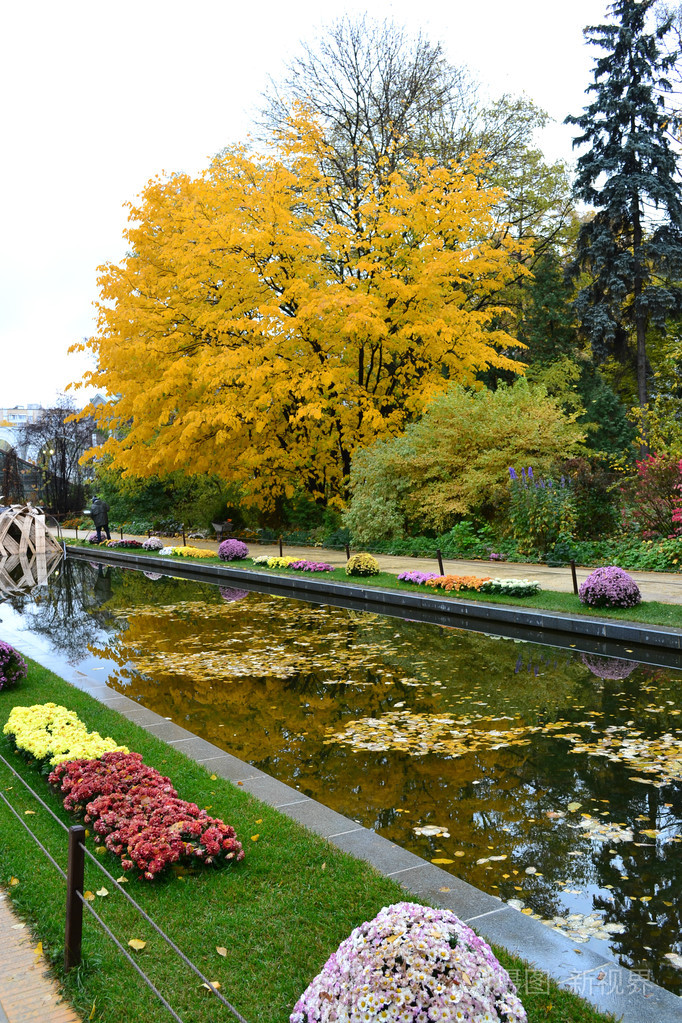 在花园里明亮的秋天景色