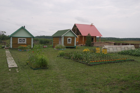 俄罗斯村庄的园林绿化场图片