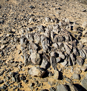 布什老化石摩洛哥撒哈拉和岩石斯通的沙漠