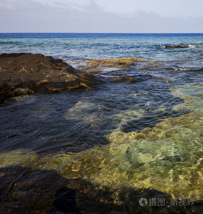 在兰萨罗特岛西班牙池塘海岸线和夏天