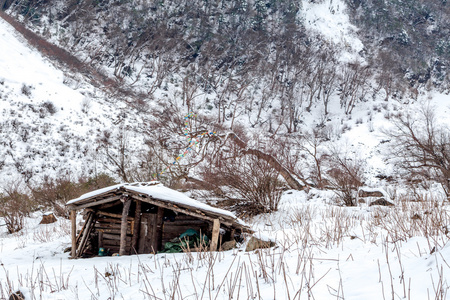 在雪中的房子