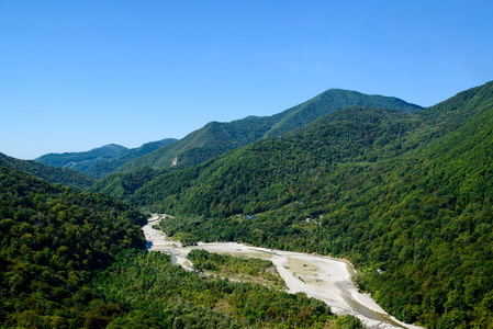 山区河流中绿树