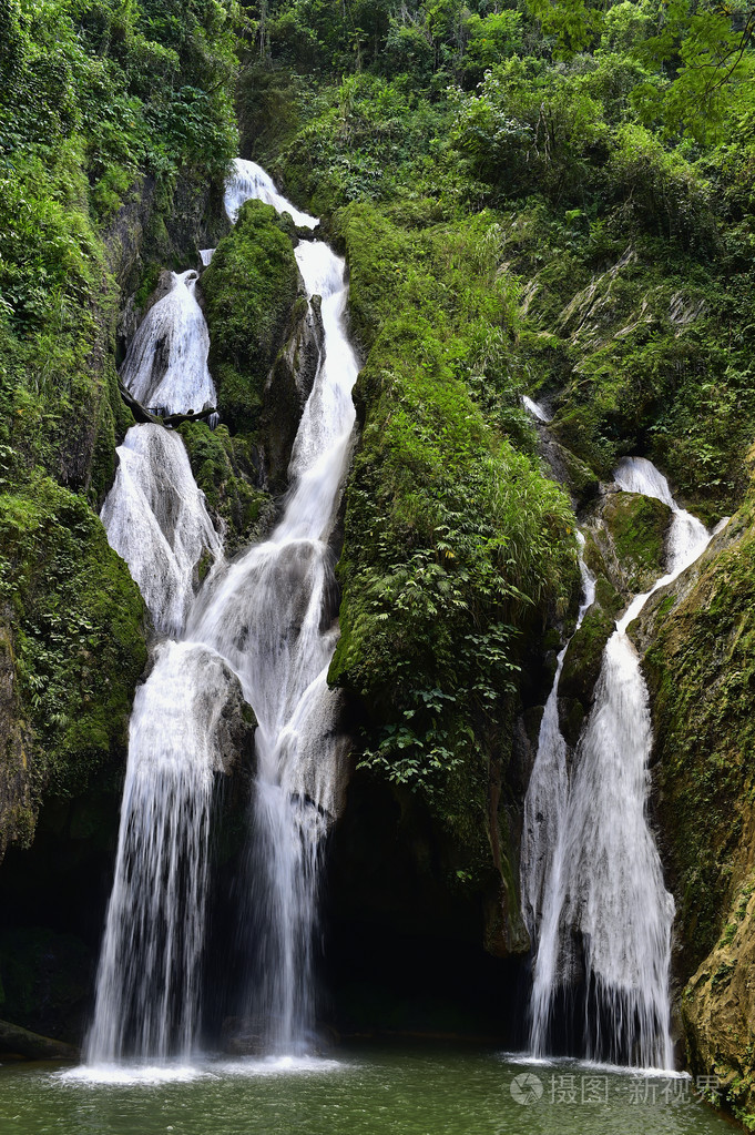 在茂密的雨林瀑布