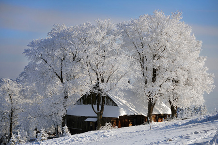 冬天的木屋