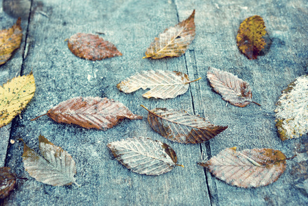 秋天, 树叶在木桌上结下霜。温塔格