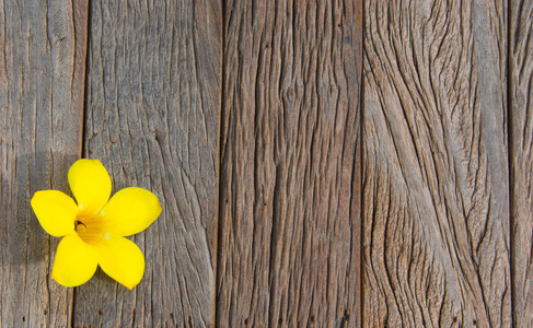 木制的背景上的一朵鲜花