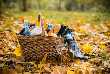 舒适的秋季野餐