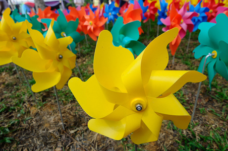 风车花素材图片 风车花图片素材下载 摄图新视界