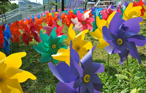 风车花素材图片 风车花图片素材下载 摄图新视界