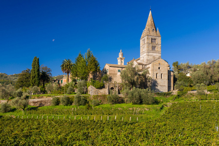 在 San Salvatore di Cogorno Fieschi 大教堂