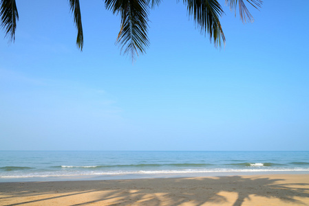 热带海滩与椰子棕榈在夏季时间