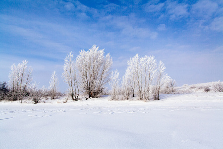 雪与冰的湖