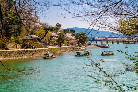 日本京都岚山