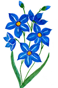 五个花瓣五个蓝色的花照片