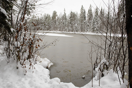 冬季初，森林湖的表面，薄冰壳下有水滑的叶子