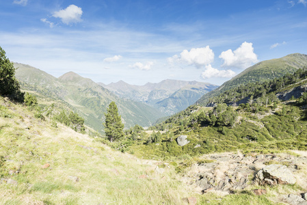 春山风景